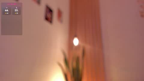 Dani online show from 19, 6, 2026