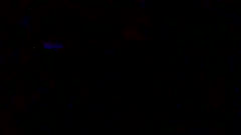 pawgkiller online show from 10, 12, 2024