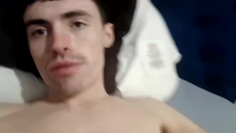 Paw online show from 4, 12, 2024