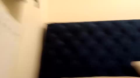 Paw online show from 21, 12, 2024