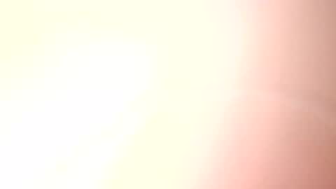 Paw online show from 12, 2, 2025