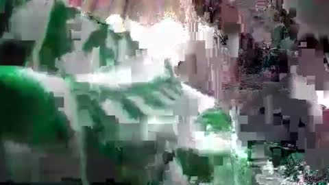 Snapshot of pay2playangel12 chatting on 24, 12, 2024 Coco channel online show from 24, 12, 2024