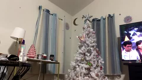 Snapshot of pduke81 chatting on 18, 12, 2024 Hung sung Hero online show from 18, 12, 2024