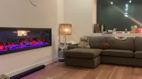 Effyyyyy online show from 1, 4, 2026