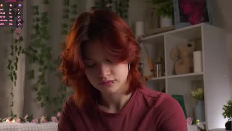 Snapshot of pebee chatting on 21, 11, 2025 Lily online show from 21, 11, 2025