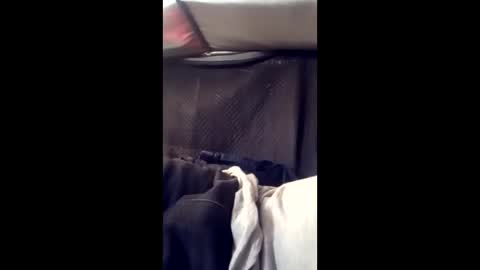 peckerwood7inchdpnu4cash online show from 25, 3, 2026