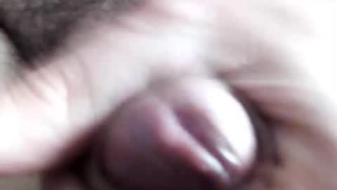 peiboluna online show from 11, 2, 2025