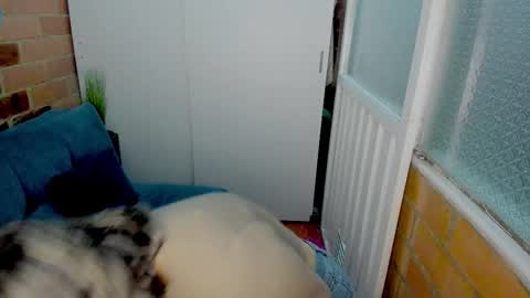 Penelope online show from 11, 3, 2026