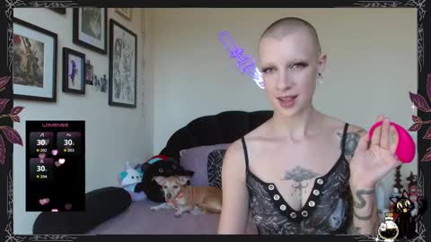 Snapshot of pepper_dagger chatting on 20, 9, 2025 Pepper Dagger online show from 20, 9, 2025