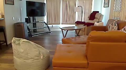 perfecto1957 online show from 3, 12, 2024