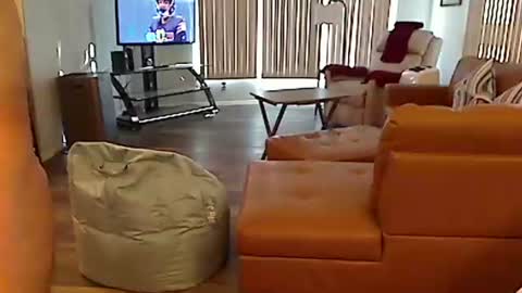 perfecto1957 online show from 22, 12, 2024