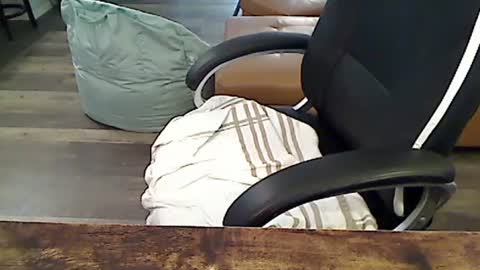 perfecto1957 online show from 26, 2, 2025