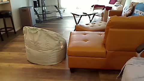 perfecto1957 online show from 4, 3, 2025