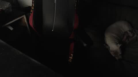 Snapshot of peterbeater2 chatting on 21, 2, 2025 peterbeater2 online show from 21, 2, 2025