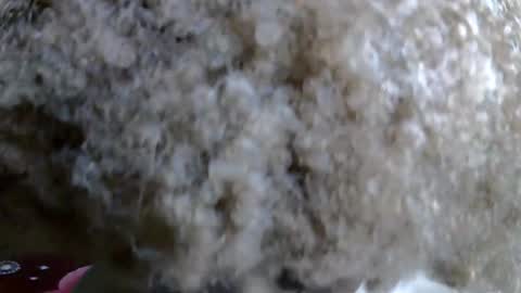 Snapshot of petitecaramell chatting on 5, 11, 2025 Caramel online show from 5, 11, 2025