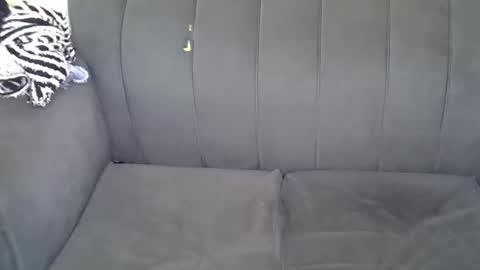 Kitty online show from 11, 6, 2026