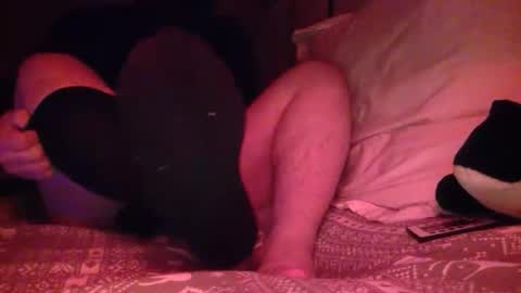 petmask online show from 21, 4, 2026