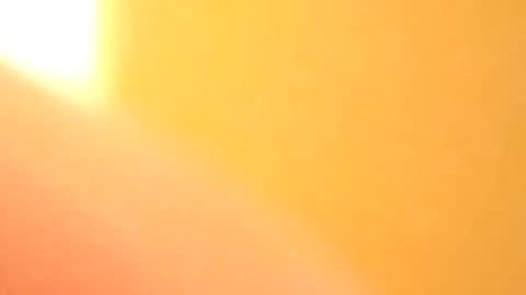 petw45 online show from 25, 2, 2026