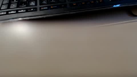 pier49x online show from 12, 1, 2025