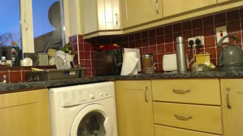 Snapshot of piercedcock069 chatting on 13, 1, 2026 piercedcock069 online show from 13, 1, 2026