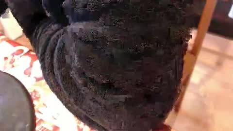 Snapshot of piercedcock069 chatting on 17, 1, 2026 piercedcock069 online show from 17, 1, 2026