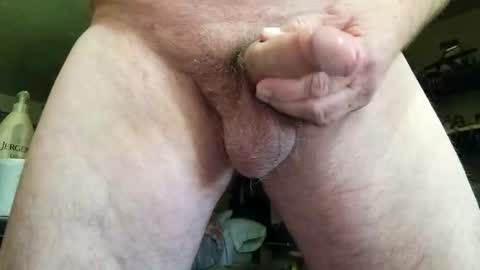 pigglywiggly9184100 online show from 13, 11, 2025