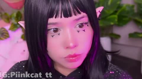 Snapshot of piinkcat chatting on 13, 7, 2026 Emi online show from 13, 7, 2026