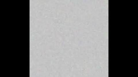 pimmel10 online show from 29, 11, 2025