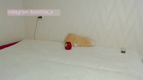 Snapshot of pink_pikachu_ chatting on 4, 3, 2025 Pikachu pika online show from 4, 3, 2025