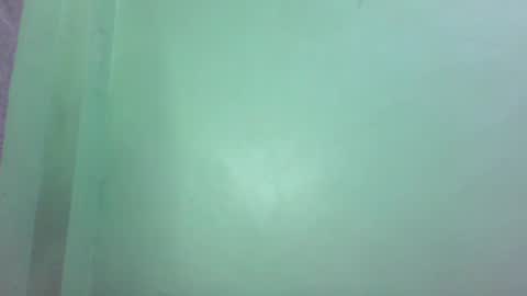 Snapshot of pinkish_shine chatting on 27, 2, 2025 Hi its me shine online show from 27, 2, 2025