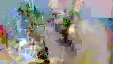 Snapshot of pipe_sexxx chatting on 14, 10, 2025 pipe_sexxx online show from 14, 10, 2025