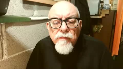 pippetta1 online show from 8, 11, 2025