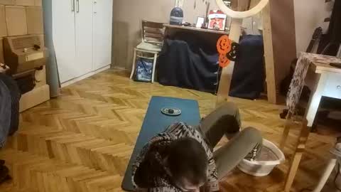 Snapshot of pisces922 chatting on 20, 12, 2025 Dominik online show from 20, 12, 2025