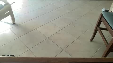 Snapshot of pisellone_xxl chatting on 19, 9, 2025 pisellone_xxl online show from 19, 9, 2025