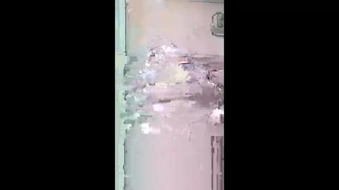 Snapshot of pitoloko73 chatting on 5, 4, 2026 pitoloko73 online show from 5, 4, 2026