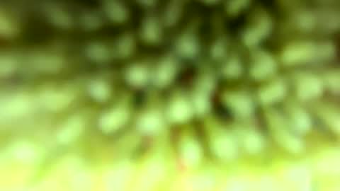 Snapshot of pitt821 chatting on 4, 2, 2026 Mike online show from 4, 2, 2026