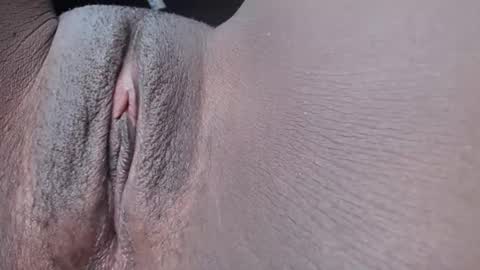 pixel online show from 27, 11, 2025