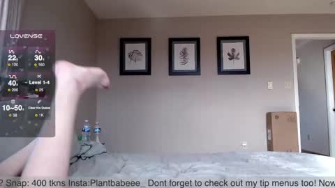 Plantbabeee online show from 20, 12, 2024