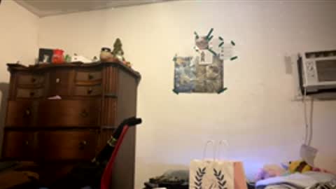 playerboybunny online show from 28, 4, 2026