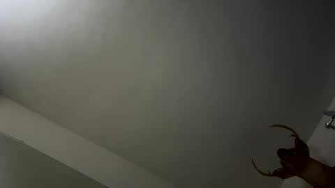 playerpleasure online show from 9, 11, 2025