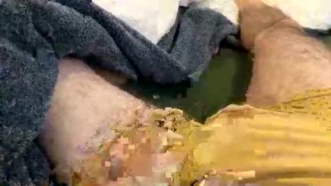 playful_hon online show from 1, 2, 2026