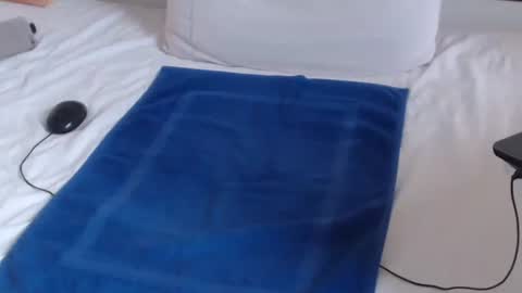 Snapshot of playuall chatting on 19, 12, 2024 Steve online show from 19, 12, 2024