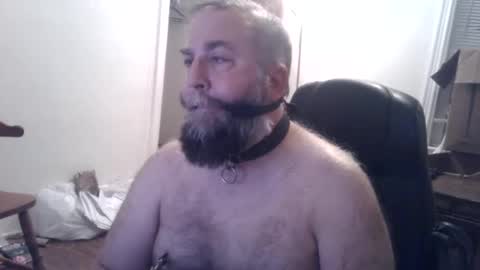 Snapshot of pleasurepuppt chatting on 3, 12, 2024 pleasurepuppt online show from 3, 12, 2024