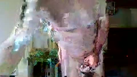 Snapshot of pluchet chatting on 7, 5, 2026 pluchet online show from 7, 5, 2026