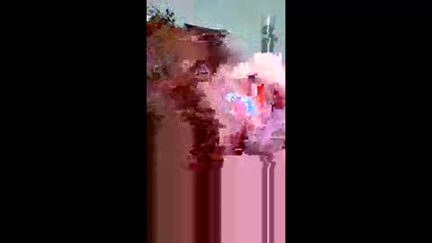 plumber336652 online show from 31, 5, 2026