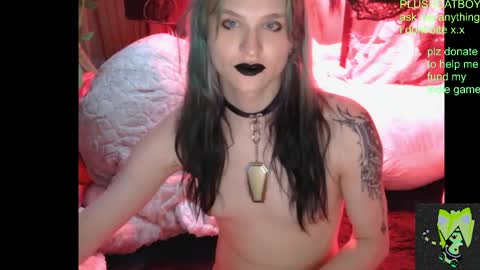 Snapshot of plushcatboy chatting on 21, 4, 2026 plushcatboy online show from 21, 4, 2026