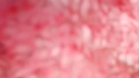 Snapshot of pocahontasdoll95 chatting on 14, 5, 2026 pocahontasdoll95 online show from 14, 5, 2026