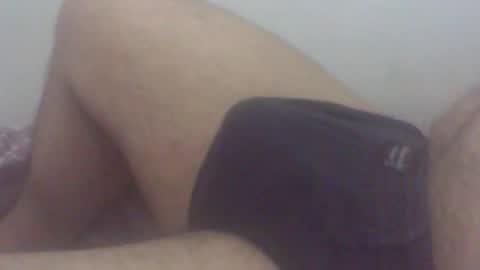 Snapshot of pol2023 chatting on 19, 11, 2025 pol2023 online show from 19, 11, 2025