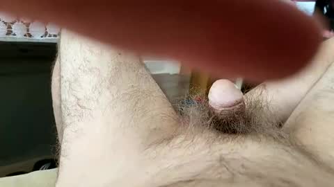 polishx42 online show from 7, 8, 2026