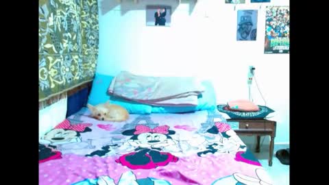 Gian online show from 5, 1, 2025